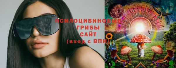 дурь Арсеньев