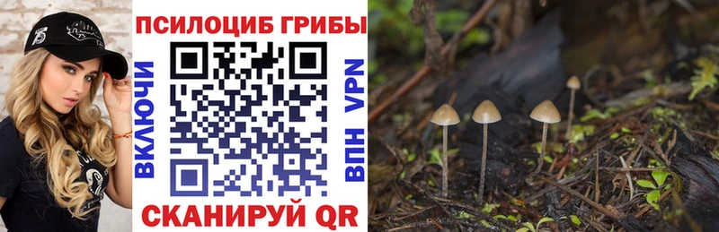 Псилоцибиновые грибы Cubensis Лукоянов